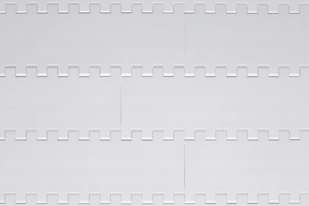 Intralox Series 800 Flat Top