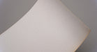 Back side view of PU conveyor belt with 1.2mm thickness, clear smooth top color, and white fabric bottom color.